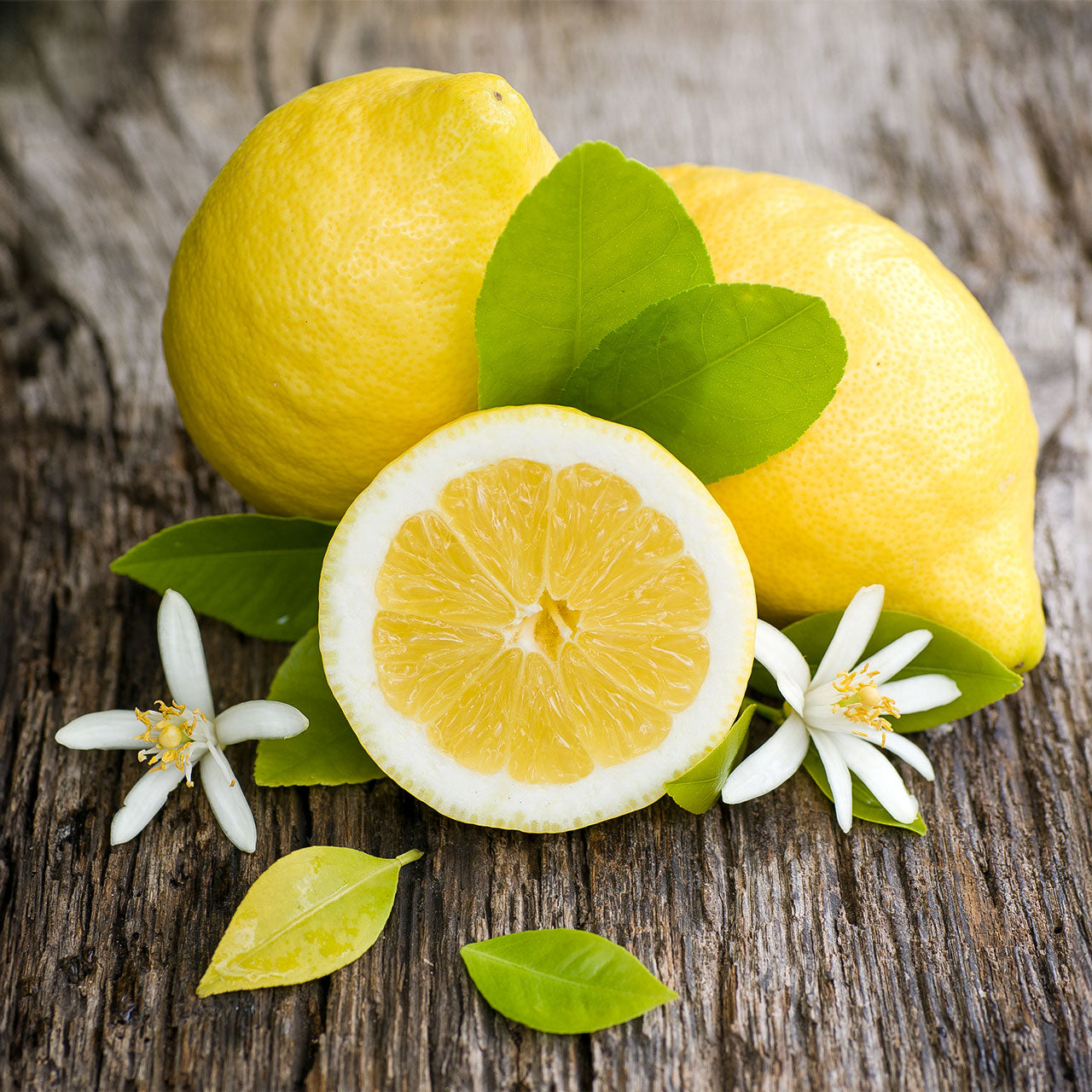 Fidelidad (Flor De Limon)